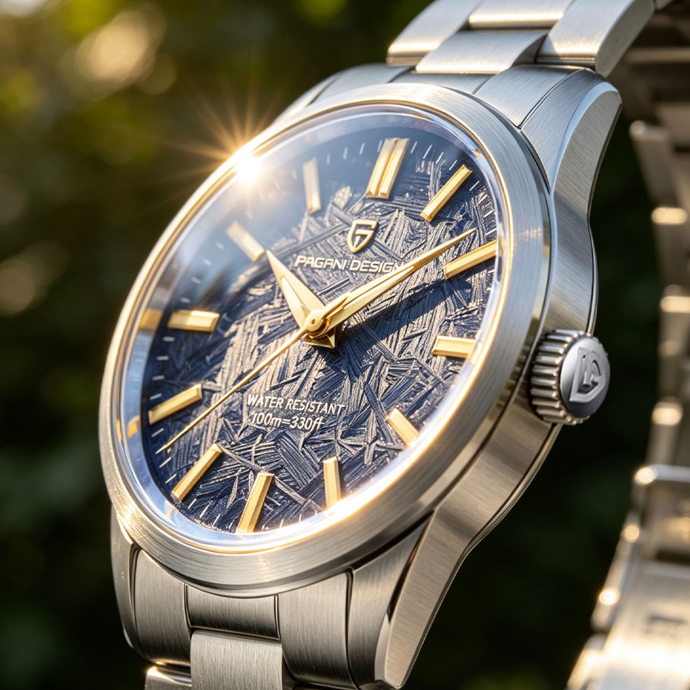 Men Accessories Jewellery - PAGANI DESIGN 40MM Men Quartz Watch