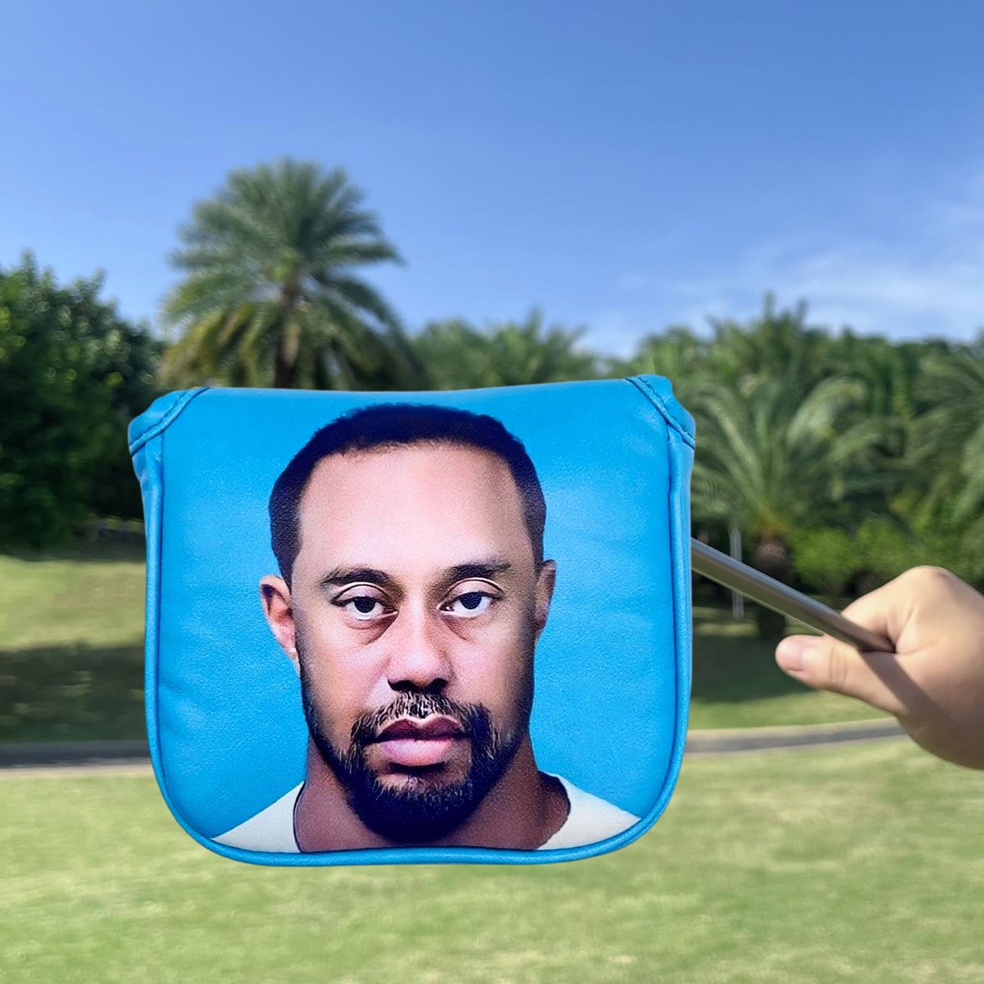 Funny Golf Mallet Putter Head  - огляд і ціна Men'S Accessories